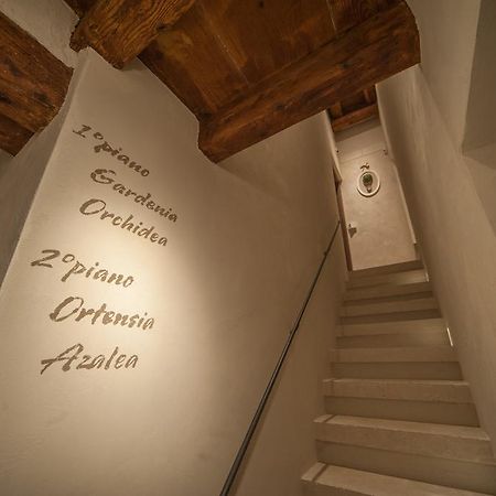 Dimora Corteinfiore Trani Exteriör bild
